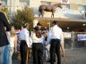 DSCN2373.JPG - 